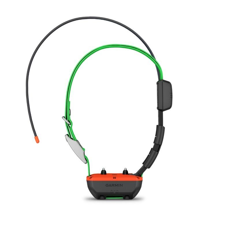 Pack Garmin Télécommande Alpha 300 F Avec Collier De Repérage Et Dressage Tt25 F – Image 5