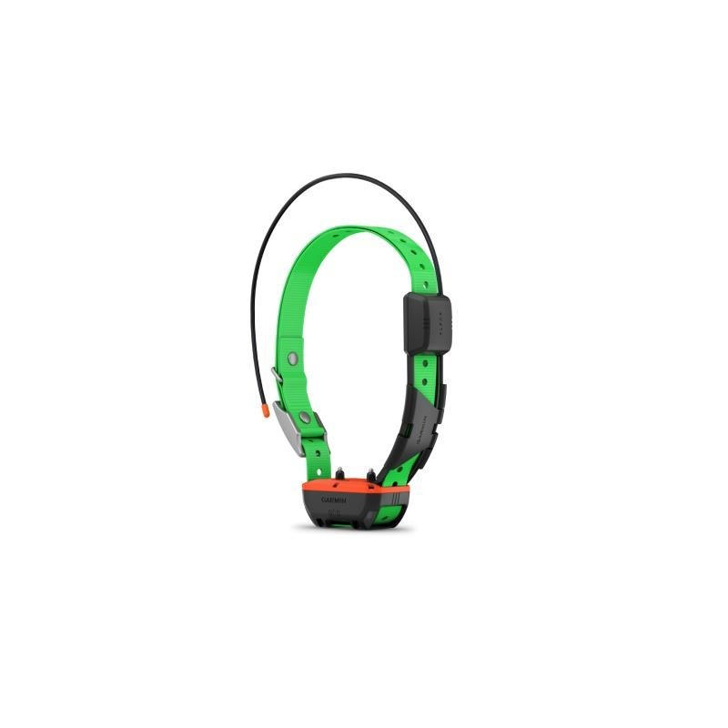 Pack Garmin Télécommande Alpha 300 F Avec Collier De Repérage Et Dressage Tt25 F – Image 6