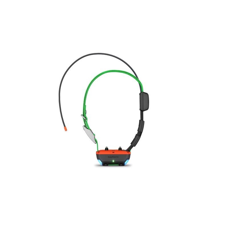 Pack Garmin Télécommande Alpha 300 F Avec Collier De Repérage Et Dressage Tt25 F – Image 7