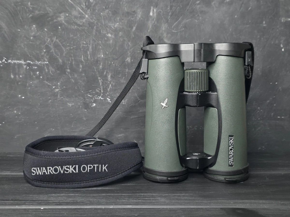 Jumelles Swarovski Optik EL 10x42 6,4° vertes chasse aux oiseaux avec housse sangle